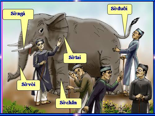 Đoạn văn ngắn rút ra bài học từ câu chuyện Thầy bói xem voi (3 mẫu)